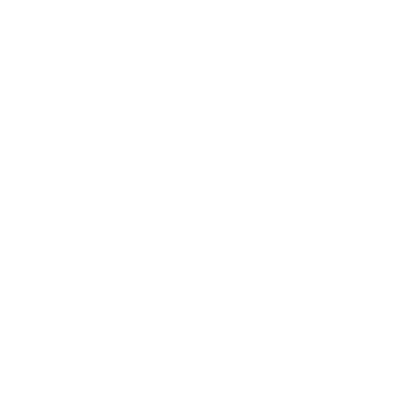 Binary Raw logo