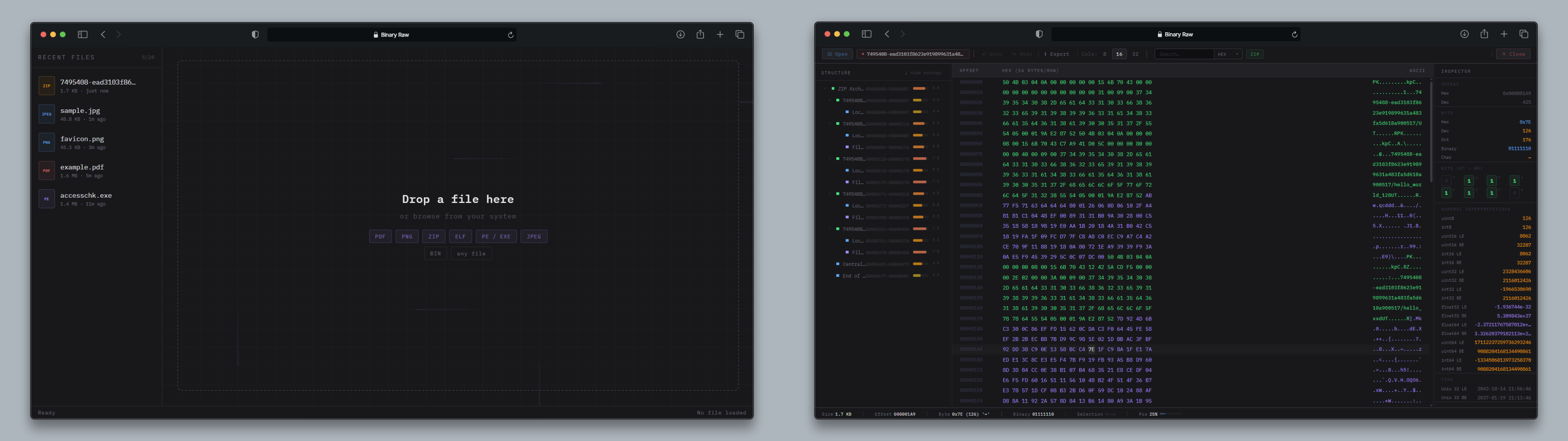 Binary Raw — Welcome Screen